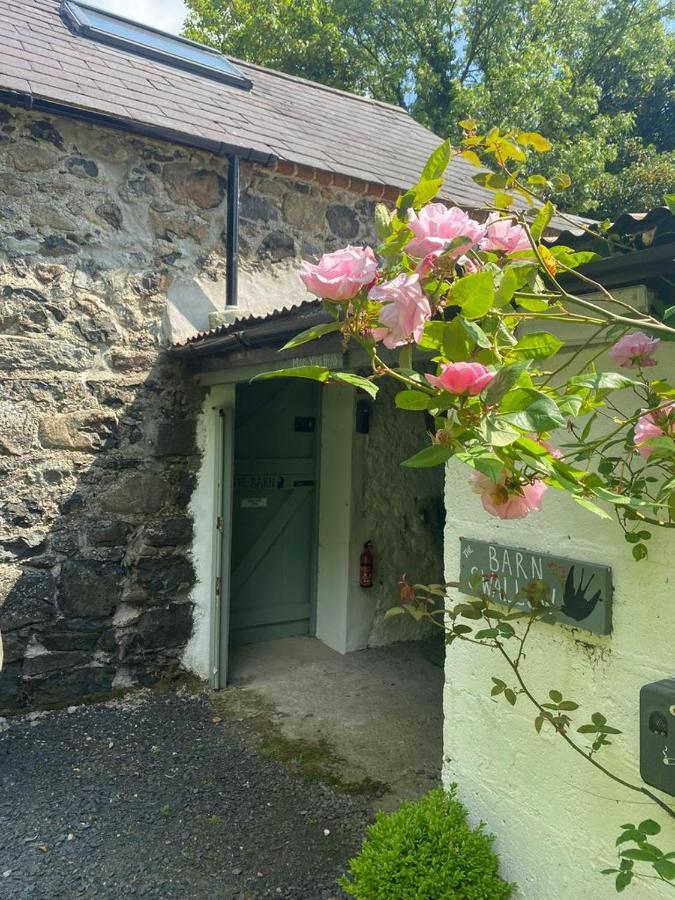 Duneden Belle Glamping Randalstown Zewnętrze zdjęcie