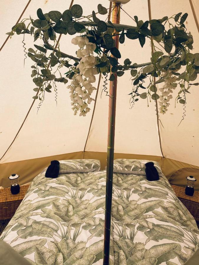 Duneden Belle Glamping Randalstown Zewnętrze zdjęcie